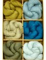 Blue Sky Alpacas - Alpaca Silk - Cypress Kits photo