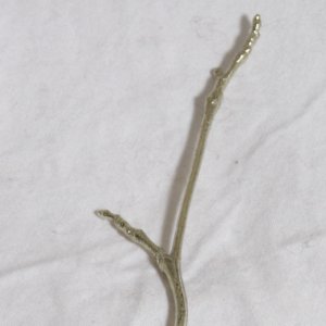 Jul Shawl Pins and Sticks - Twig Stick