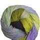Lotus Autumn Wind Hand Dyed - 09 Lily Gardens Yarn photo