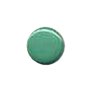 Muench Plastic Buttons - Dot - Green