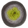 Freia Fine Handpaints Ombre Lace - Lichen Yarn photo