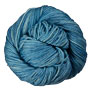 Anzula For Better or Worsted - Seabreeze Yarn photo