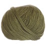 Zitron Patina - 5035 Dried Sage Yarn photo