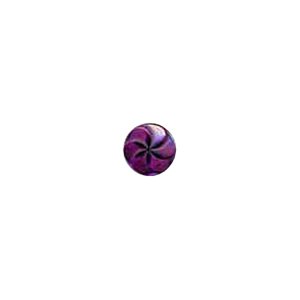 Muench Plastic Buttons - Pinwheel - Purple