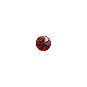 Muench Plastic Buttons - Pinwheel - Orange