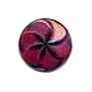Muench Plastic Buttons - Pinwheel - Pink Buttons photo