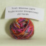 Madelinetosh Tosh Merino Light Samples - Technicolor Dreamcoat Yarn photo