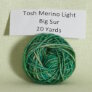 Madelinetosh Tosh Merino Light Samples - Big Sur (Discontinued) Yarn photo