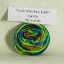 Madelinetosh Tosh Merino Light Samples - Damp Yarn photo