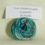 Madelinetosh Tosh Merino Light Samples - Seawash Discontinued Yarn photo