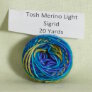 Madelinetosh Tosh Merino Light Samples - Sigrid Yarn photo