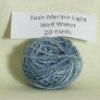 Madelinetosh Tosh Merino Light Samples - Well Water Yarn photo