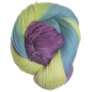 Lorna's Laces Solemate - Hampstead Yarn photo