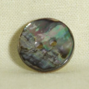 Muench Shell Buttons - Abalone 2-Hole (17mm)