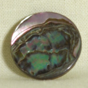 Muench Shell Buttons - South African Abalone (22mm)