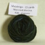 Malabrigo Worsted Merino Samples - 020 Cypress Yarn photo