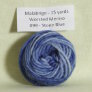 Malabrigo Worsted Merino Samples - 099 Stone Blue Yarn photo