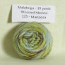 Malabrigo Worsted Merino Samples - 125 Mariposa Yarn photo