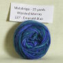 Malabrigo Worsted Merino Samples - 137 Emerald Blue Yarn photo
