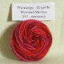 Malabrigo Worsted Merino Samples - 157 Amoroso Yarn photo