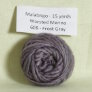 Malabrigo Worsted Merino Samples - 606 Frost Gray Yarn photo