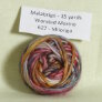 Malabrigo Worsted Merino Samples - 627 Milonga Yarn photo