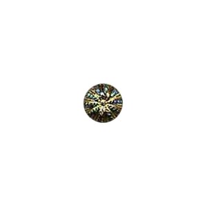 Muench Glass Buttons - Glass - Gold/Rainbow (18mm)