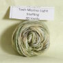 Madelinetosh Tosh Merino Light Samples - Custom: JBW: Fit for a Feast - Stuffing Yarn photo