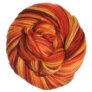 Cascade 220 Superwash Paints - Mill Ends - 9919 Yarn photo