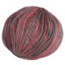 Cascade Forest Hills Multis - 108 Queen of Hearts Yarn photo