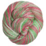 Cascade Sunseeker Multis - 118 Candy Cane Yarn photo