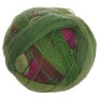 Schoppel Wolle Lace Ball 100 - 2249 Yarn photo