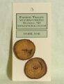 Favour Valley Woodworking Wood Buttons - White Oak - Large (2 button card) Buttons photo