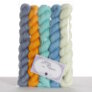 Lorna's Laces String Quintet Packs - Oboe Yarn photo