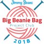 Jimmy Beans Wool Big Beanie Bag Project Club - 03-Month Gift Subscription - Mystery Palette (Knit) Kits photo