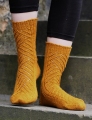 Dream in Color Smooshy Winding Way Socks Kit