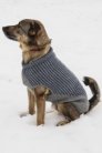 Blue Sky Fibers The Classic Series - Bird Island Dog Sweater Patterns photo