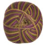 West Yorkshire Spinners Signature 4 Ply - 811 Passion Fruit Cooler Yarn photo