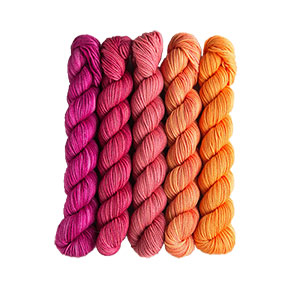 SweetGeorgia Tough Love Sock Party of Five Mini-Skein Set yarn Jelly Bean