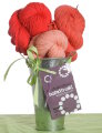 Jimmy Beans Wool Koigu Yarn Bouquets - Koigu Gradient Bouquet - Oranges Kits photo
