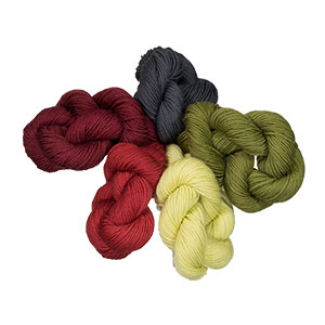 Lorna's Laces String Quintet Packs yarn productName_3