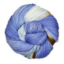 Delicious Yarns Sweets Fingering - Plum Pudding Yarn photo