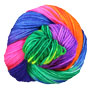 Madelinetosh Tosh DK - Rainbow Yarn photo