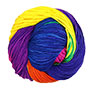 Madelinetosh Tosh Sport - Rainbow Yarn photo