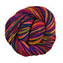 Madelinetosh Prairie - Rainbow Yarn photo