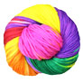Madelinetosh Tosh Chunky - Rainbow Yarn photo