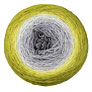 Freia Fine Handpaints Shawl Ball Fingering - Lichen Yarn photo