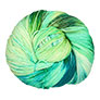 SweetGeorgia Tough Love Sock - Seedling Yarn photo