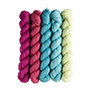 SweetGeorgia Tough Love Sock Party of Five Mini-Skein Set Yarn - Candy Shop