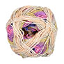 Noro Silk Garden Sock - 450 Scarborough Yarn photo